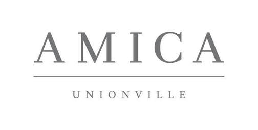 AMICA logo